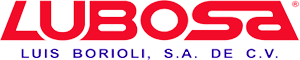 Luis Borioli, S.A. de C.V. logo