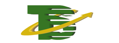 Servicios Industriales TS, S.R.L. M.I. logo