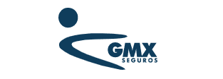 Grupo Mexicano de Seguros, S.A. de C.V. logo