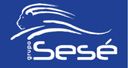 Sese Logistica do Brasil Ltda logo