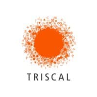 Triscal Consultoria e Tecnologia Ltda logo