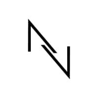 Nicoletta Valentina S.P.A. logo