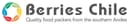 Berries Chile S.A. logo