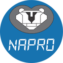 Napro Eletronica Industrial Ltda logo