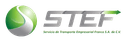 Servicio de Transporte Empresarial Franco, S.A. de C.V. logo