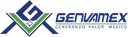 Genvamex, S.A. de C.V. logo