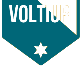 Voltiuri, S.A. de C.V. logo